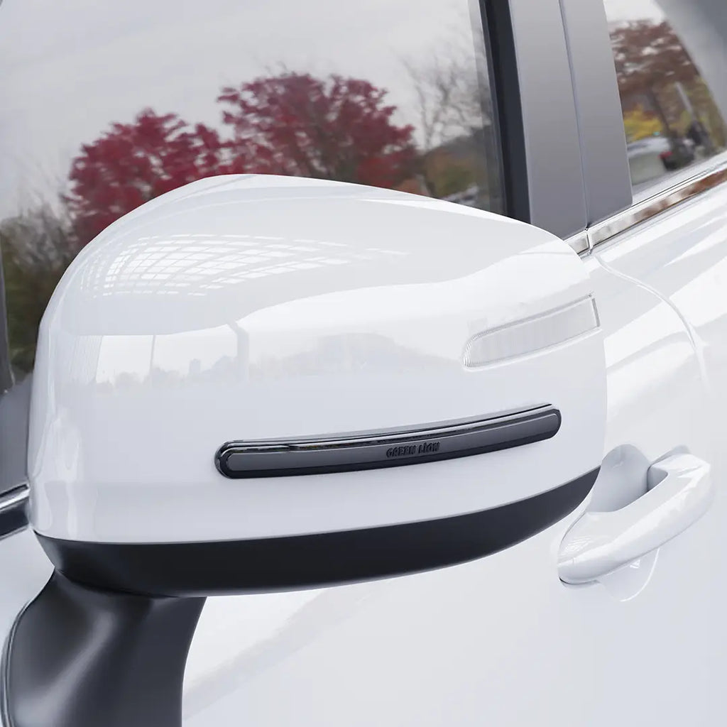 Green Lion Car Door Guard 4-Strip Pack | 2 Years Warranty